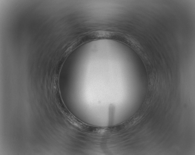 X0000060790325200511101041