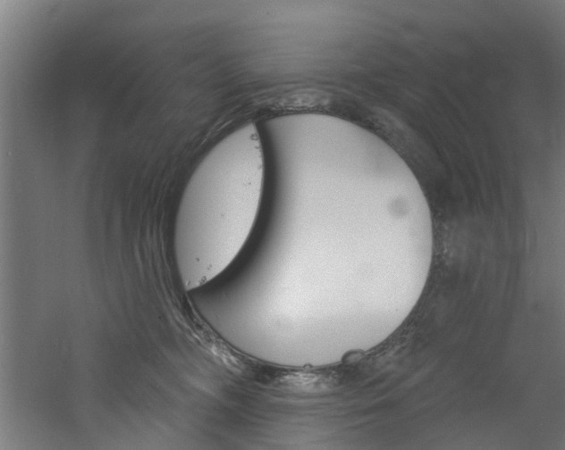 X0000060790326200511101041