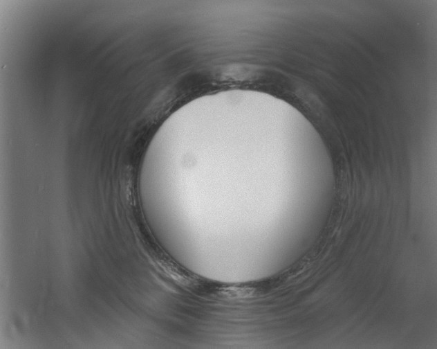 X0000060790328200511101041