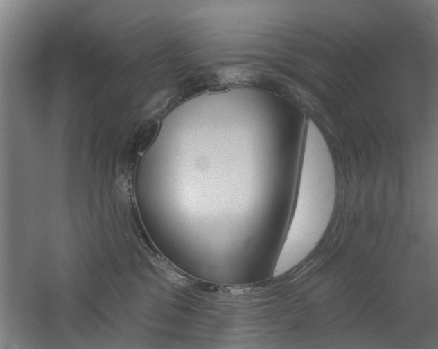 X0000060790329200511101041