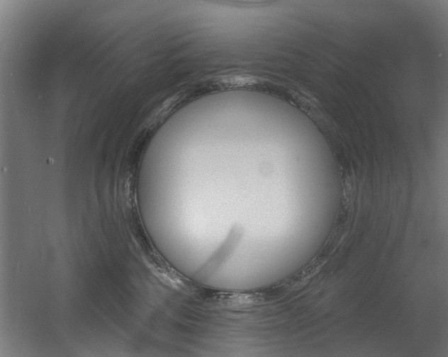 X0000060790330200511101041