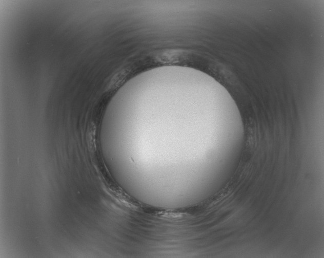 X0000060790332200511101041