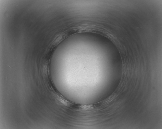 X0000060790333200511101041