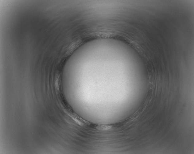 X0000060790334200511101041