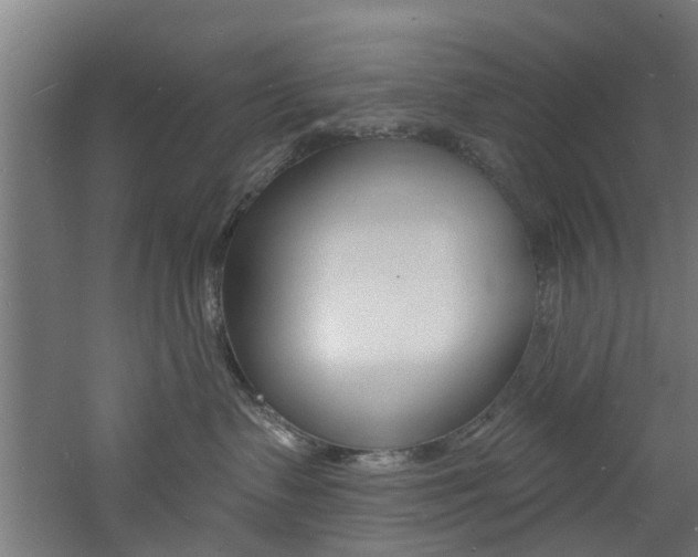 X0000060790335200511101041