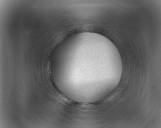 X0000060790336200511101041