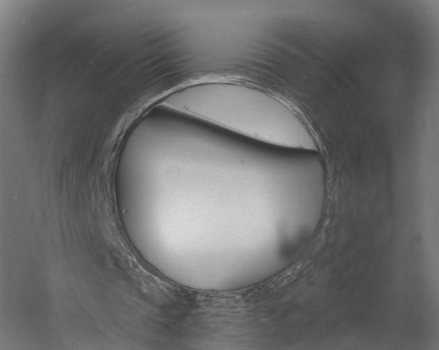 X0000060790337200511101040