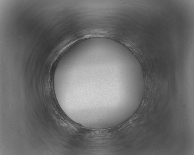 X0000060790338200511101040