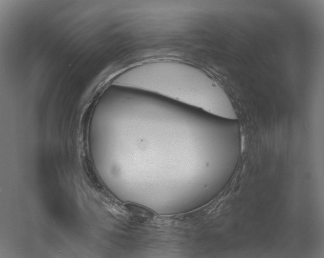 X0000060790339200511101040