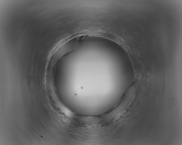 X0000060790340200511101040