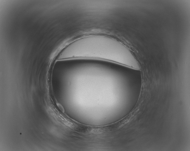 X0000060790341200511101040