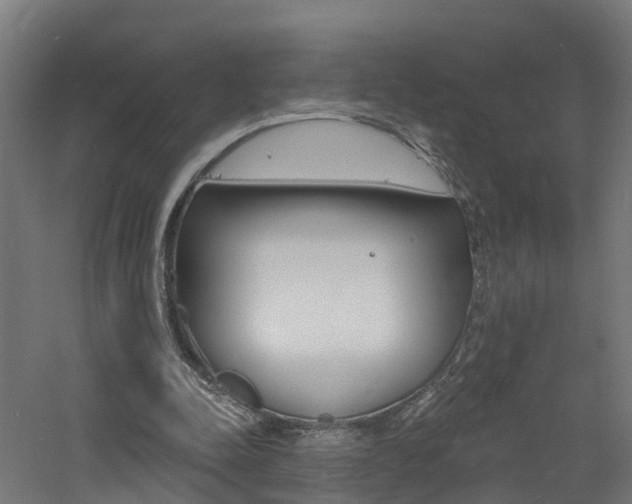 X0000060790342200511101040