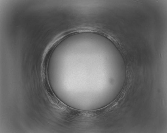 X0000060790343200511101040