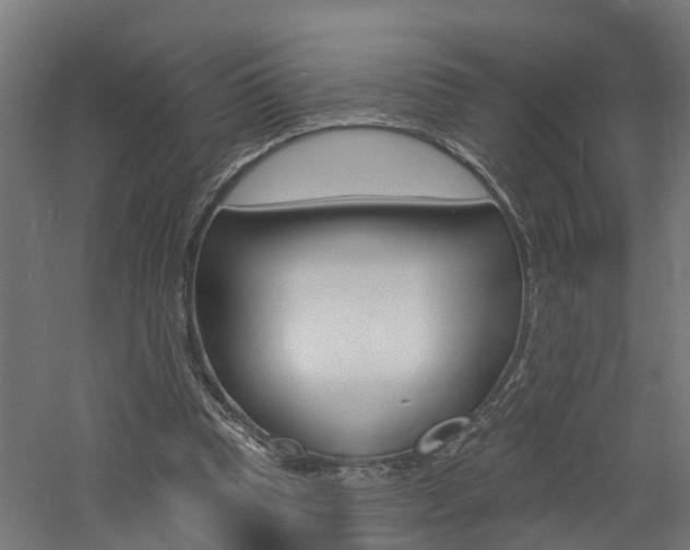 X0000060790345200511101040