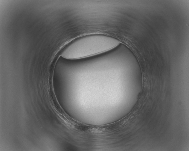 X0000060790346200511101040