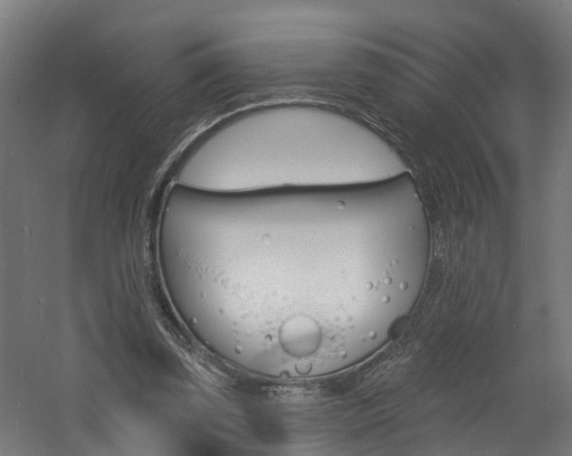 X0000060790347200511101040