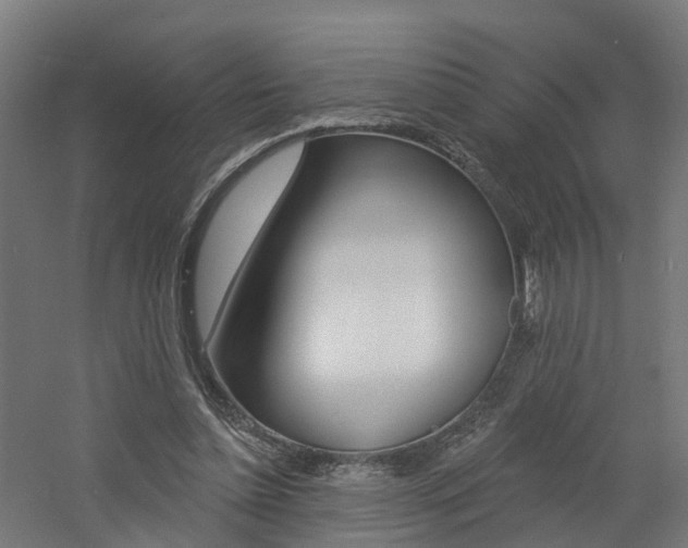 X0000060790348200511101040