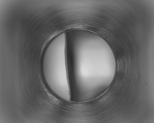 X0000060790349200511101040