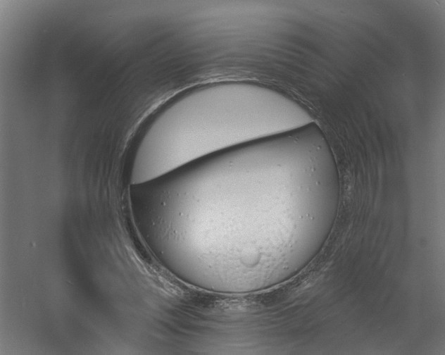 X0000060790351200511101040