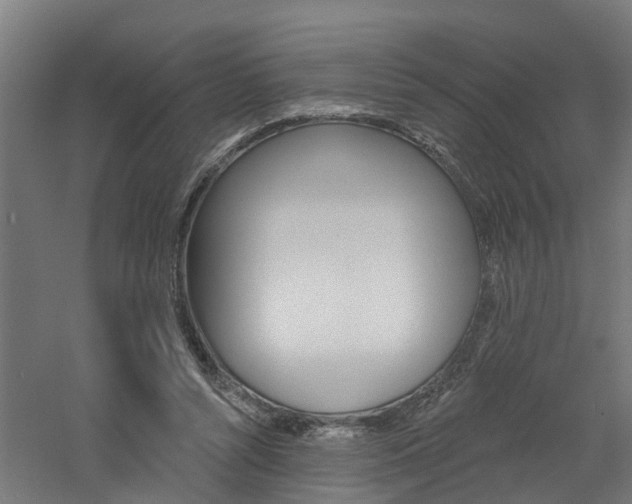 X0000060790352200511101040