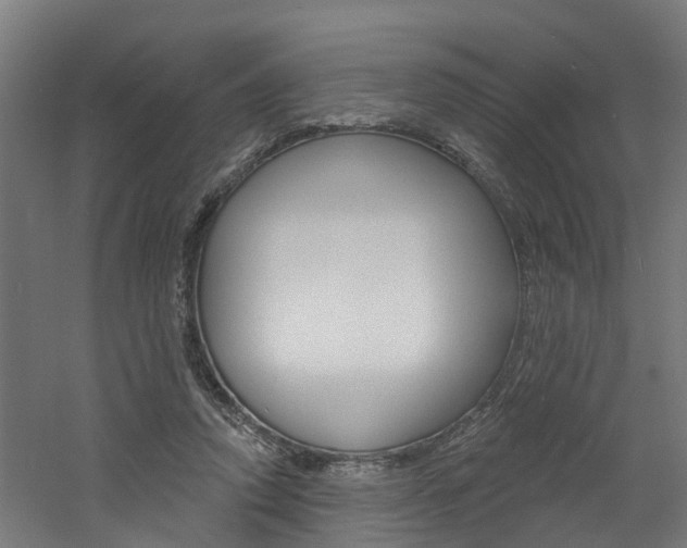 X0000060790354200511101040