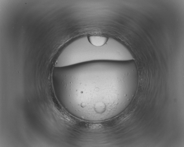 X0000060790355200511101040