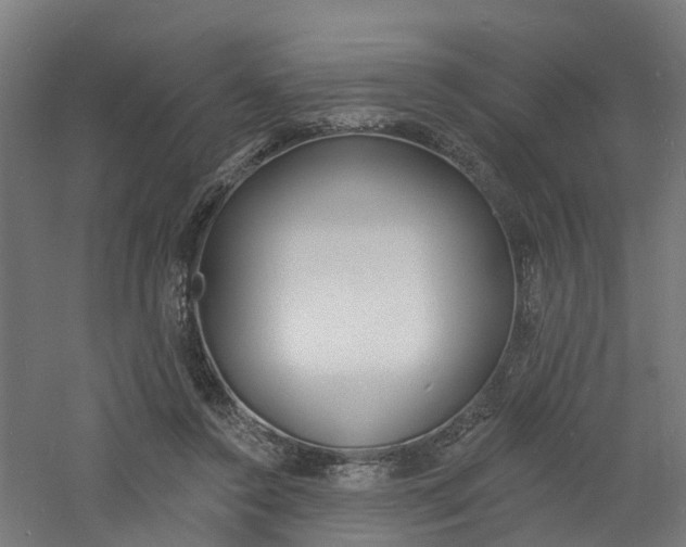 X0000060790356200511101040