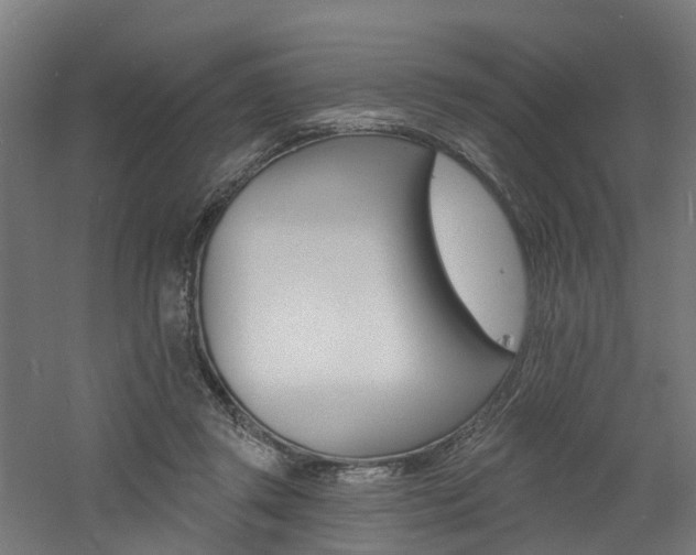 X0000060790357200511101040