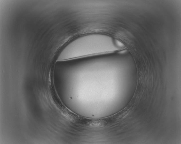 X0000060790358200511101040