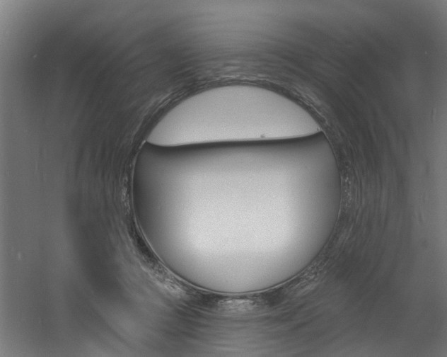 X0000060790361200511101040