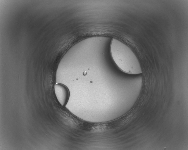 X0000060790362200511101040