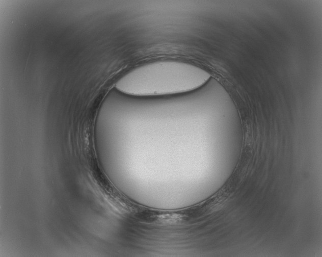 X0000060790363200511101040