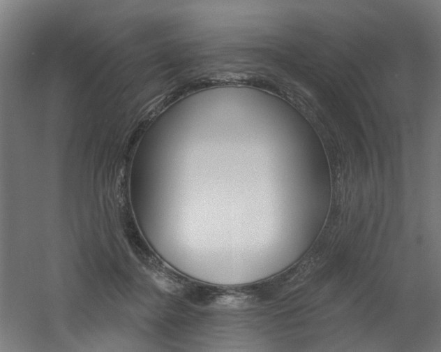 X0000060790364200511101040