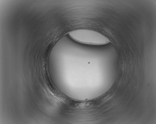 X0000060790366200511101040