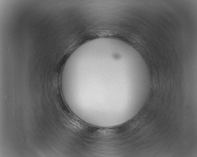 X0000060790367200511101040