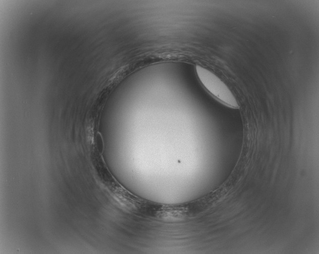 X0000060790368200511101040