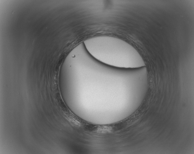 X0000060790369200511101040