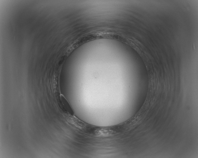 X0000060790372200511101041