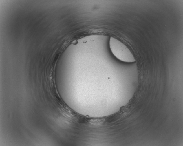 X0000060790373200511101041