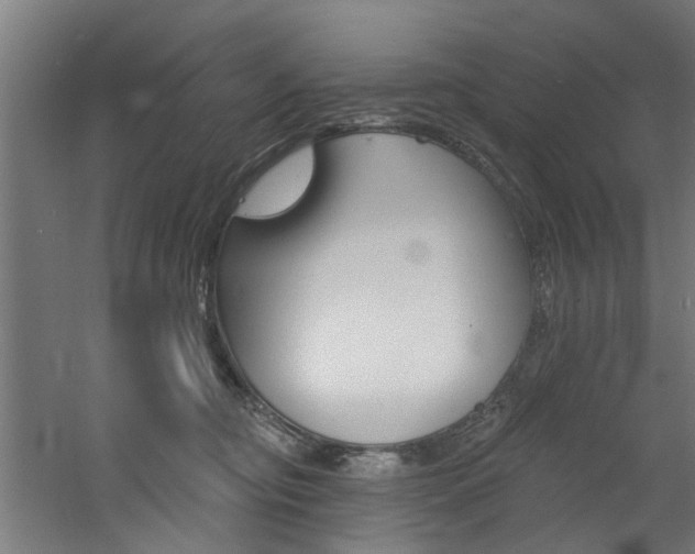 X0000060790374200511101041