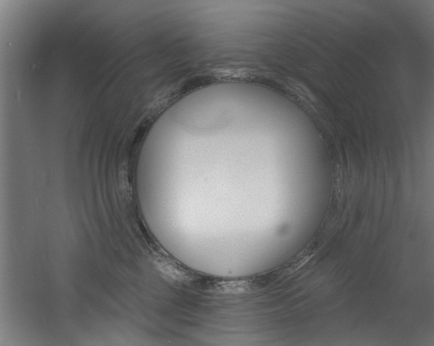 X0000060790377200511101041