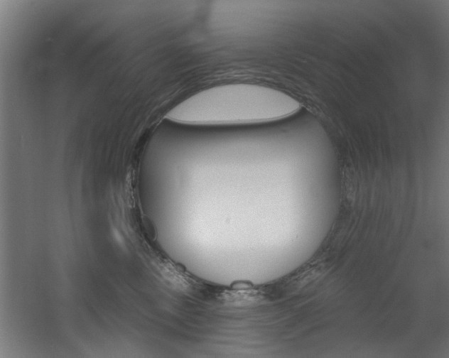 X0000060790378200511101041