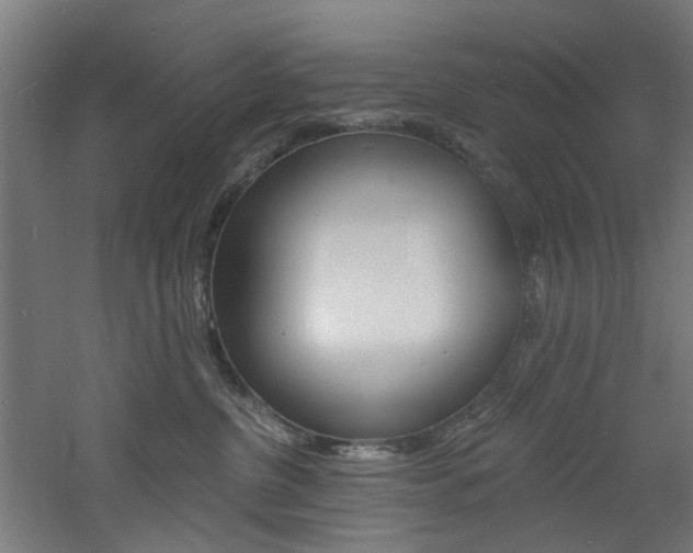 X0000060790380200511101041