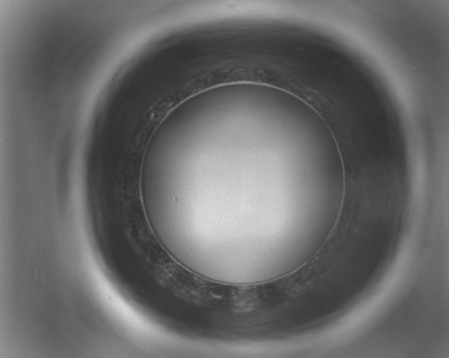 X0000060790382200511101041