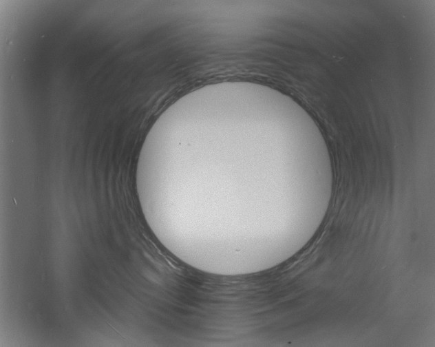 X0000060790384200511101041