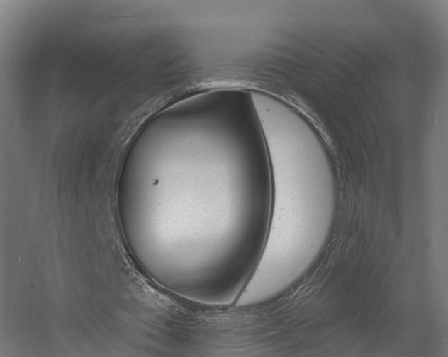 X0000060790385200511101040