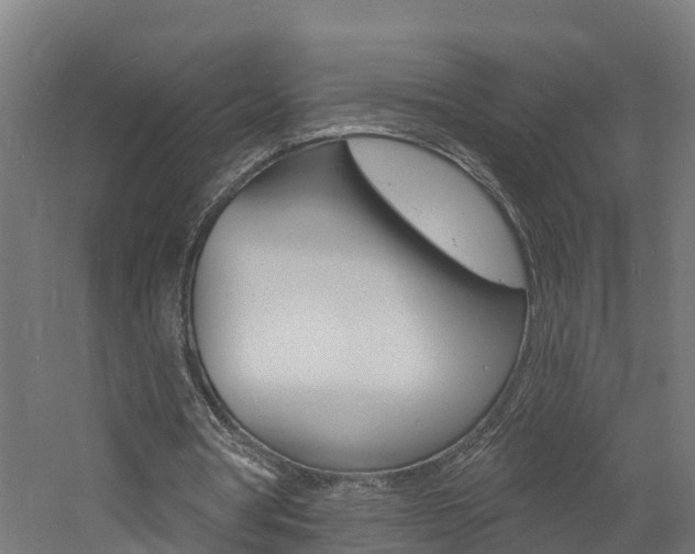 X0000060790386200511101040