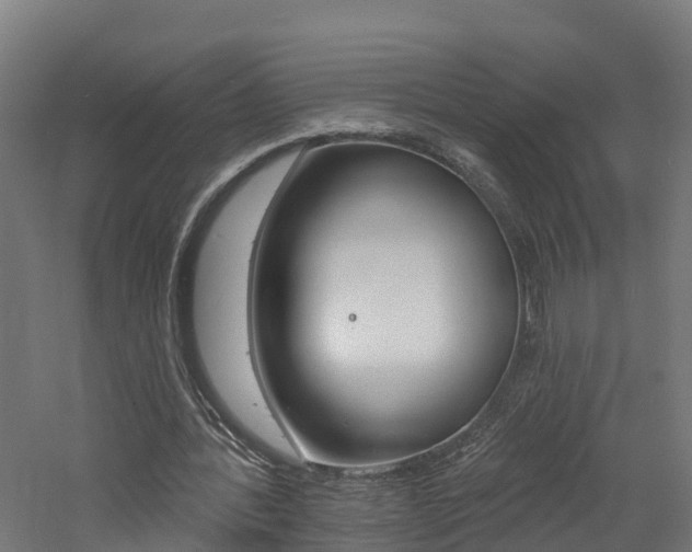 X0000060790388200511101040