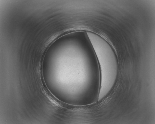 X0000060790389200511101040