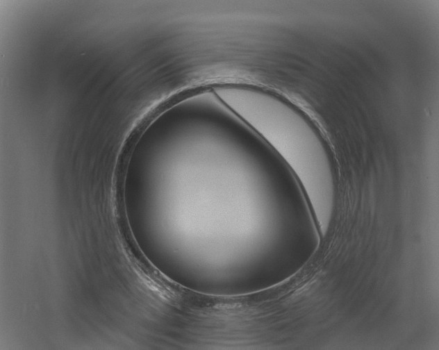 X0000060790391200511101040